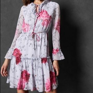 Ted Baker Babylon GGT Ruffle Dress